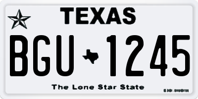 TX license plate BGU1245