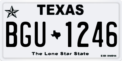 TX license plate BGU1246