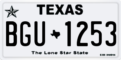 TX license plate BGU1253