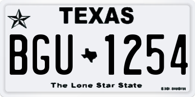 TX license plate BGU1254