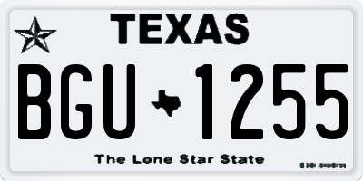 TX license plate BGU1255