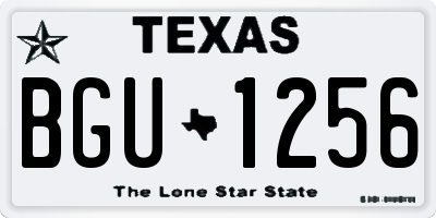 TX license plate BGU1256