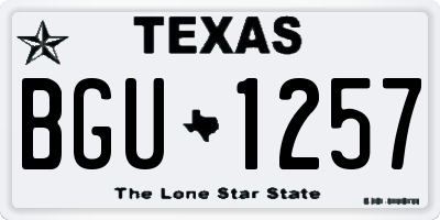 TX license plate BGU1257