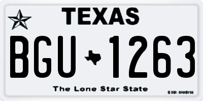 TX license plate BGU1263