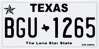 TX license plate BGU1265