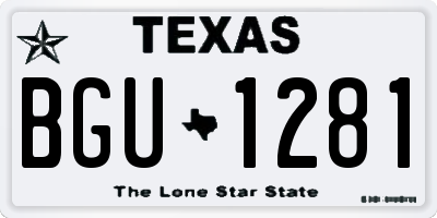 TX license plate BGU1281