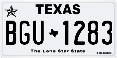 TX license plate BGU1283