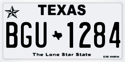 TX license plate BGU1284