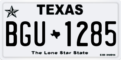 TX license plate BGU1285