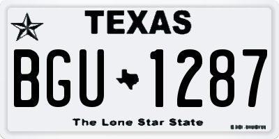 TX license plate BGU1287