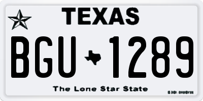 TX license plate BGU1289