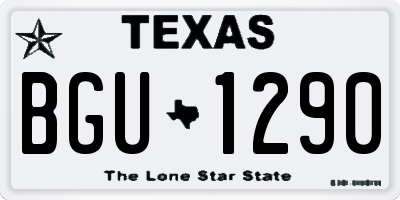 TX license plate BGU1290