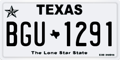 TX license plate BGU1291