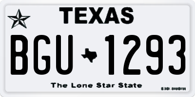TX license plate BGU1293