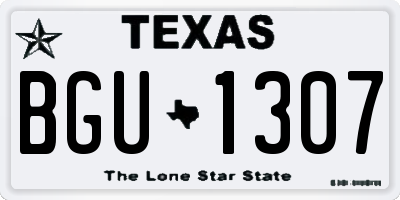 TX license plate BGU1307