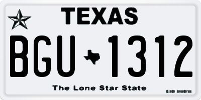 TX license plate BGU1312