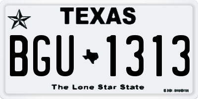TX license plate BGU1313