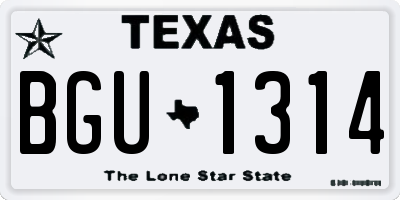TX license plate BGU1314