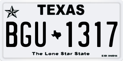 TX license plate BGU1317