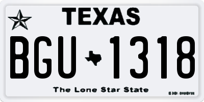TX license plate BGU1318