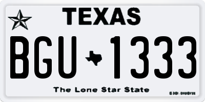 TX license plate BGU1333