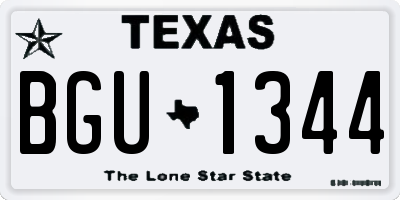 TX license plate BGU1344