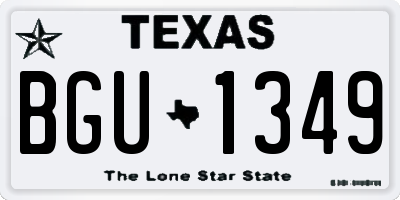 TX license plate BGU1349