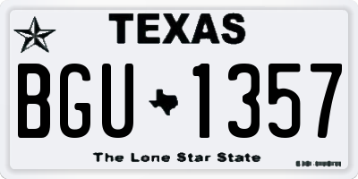 TX license plate BGU1357