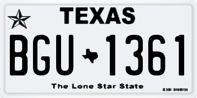 TX license plate BGU1361