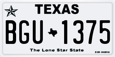TX license plate BGU1375