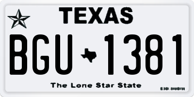 TX license plate BGU1381