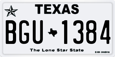 TX license plate BGU1384