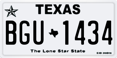 TX license plate BGU1434