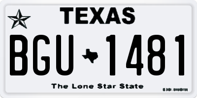 TX license plate BGU1481