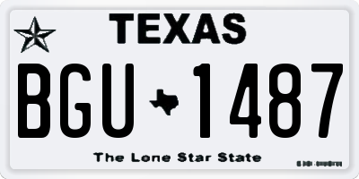 TX license plate BGU1487