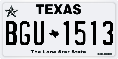 TX license plate BGU1513
