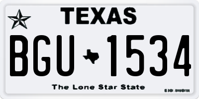 TX license plate BGU1534
