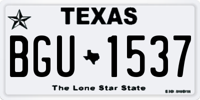 TX license plate BGU1537