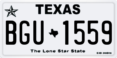 TX license plate BGU1559
