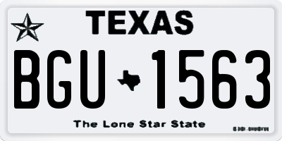 TX license plate BGU1563