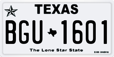 TX license plate BGU1601