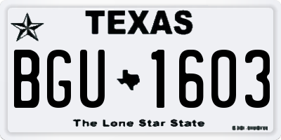 TX license plate BGU1603