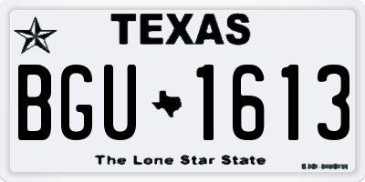 TX license plate BGU1613