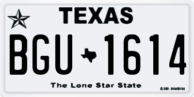 TX license plate BGU1614