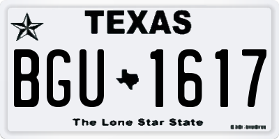 TX license plate BGU1617