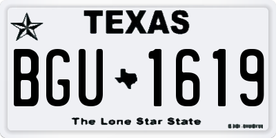 TX license plate BGU1619