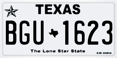 TX license plate BGU1623