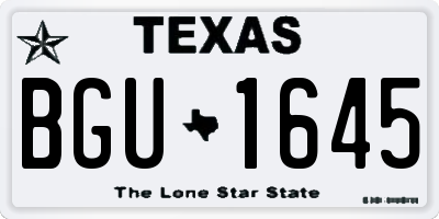 TX license plate BGU1645