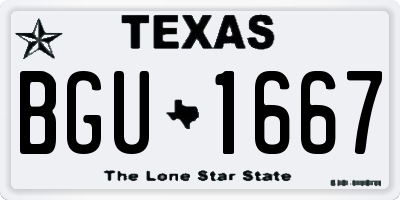 TX license plate BGU1667