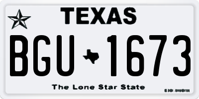 TX license plate BGU1673
